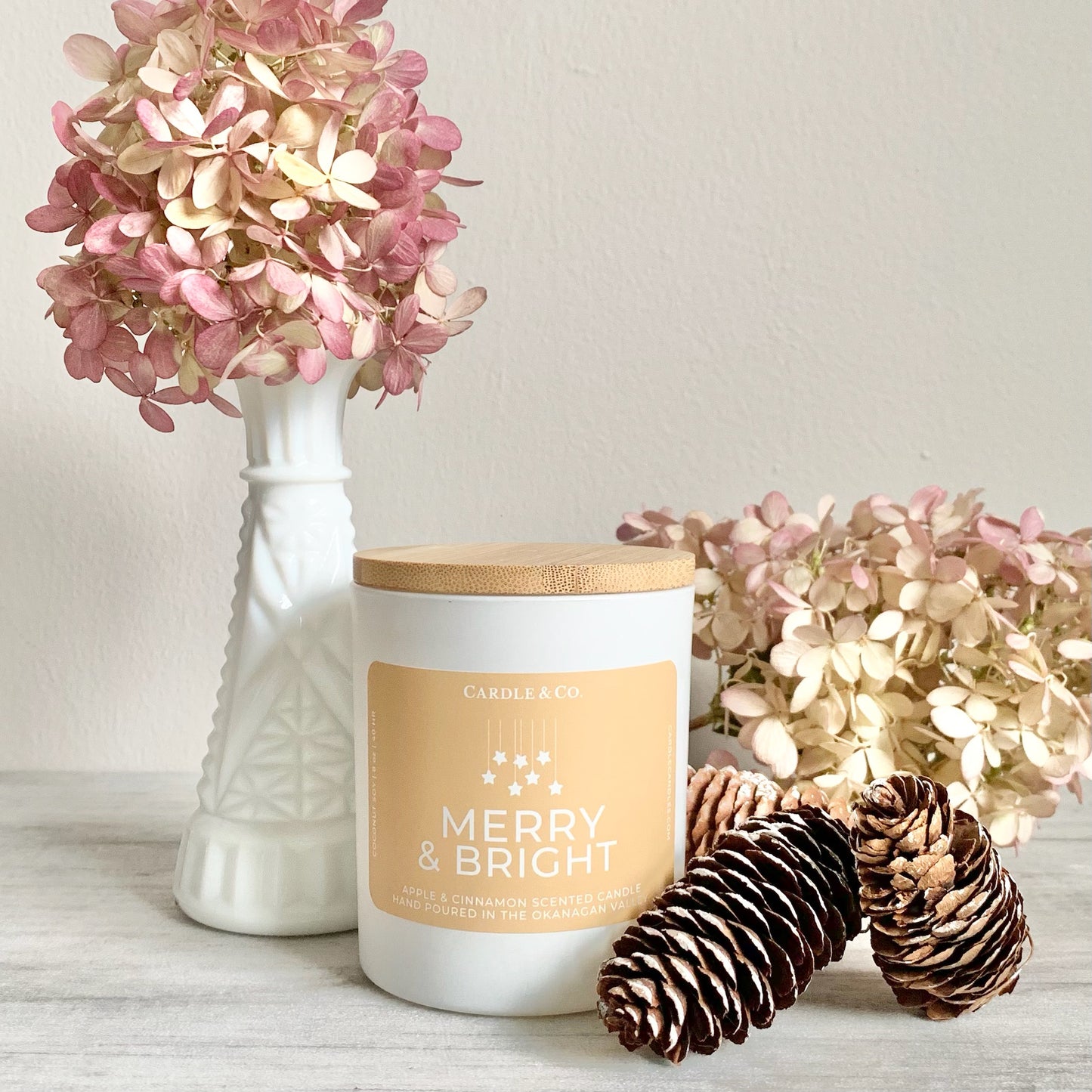 Cardles: Winter Collection